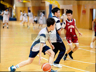 几何色块组合，象征栏目重排